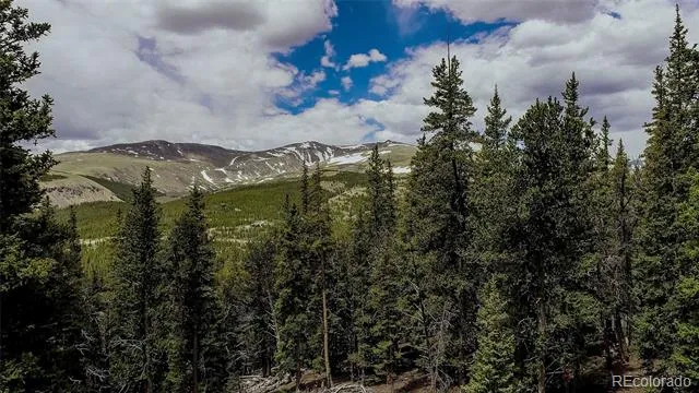 790 Mountain View Drive Fairplay, CO 80440