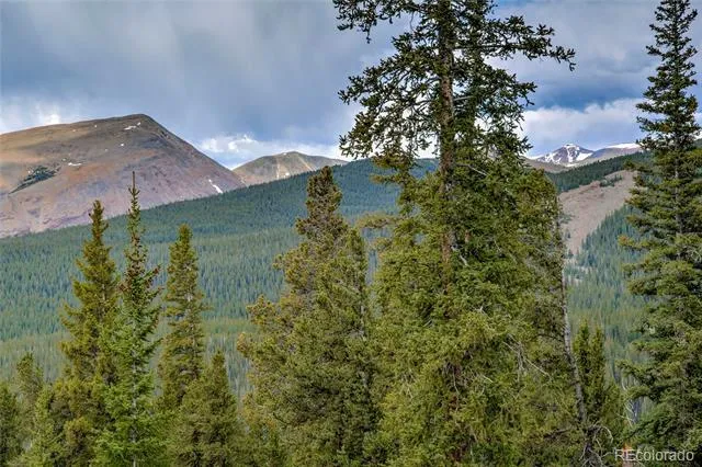 790 Mountain View Drive Fairplay, CO 80440