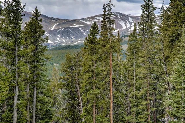 790 Mountain View Drive Fairplay, CO 80440