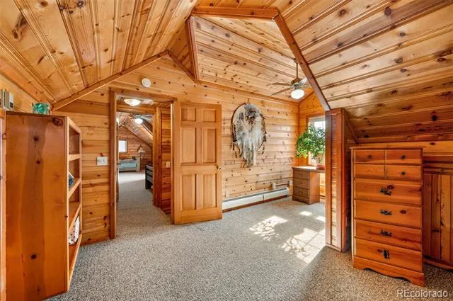 455 Satanta Circle Westcliffe, CO 81252