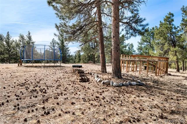 455 Satanta Circle Westcliffe, CO 81252