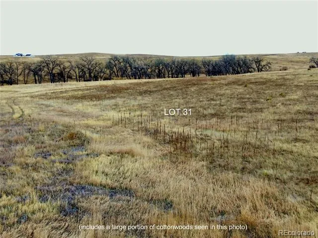 0 Happiness Trail Lot 31 Kiowa, CO 80117