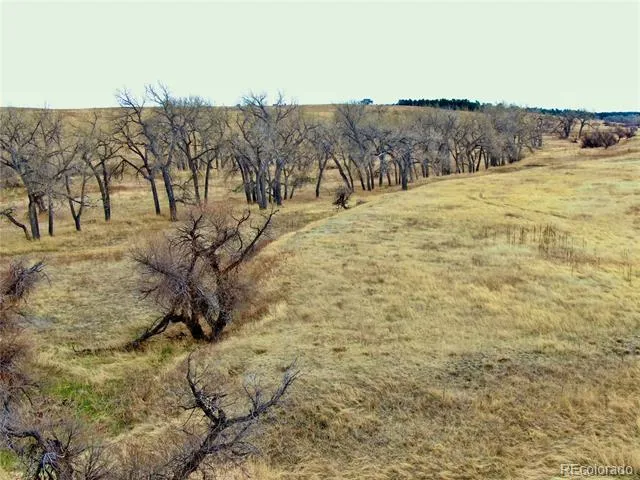 0 Happiness Trail Lot 31 Kiowa, CO 80117