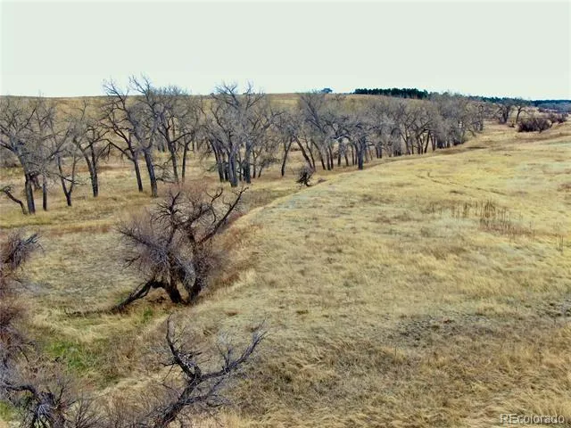 0 Happiness Trail Lot 31 Kiowa, CO 80117