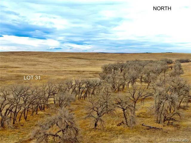 0 Happiness Trail Lot 31 Kiowa, CO 80117