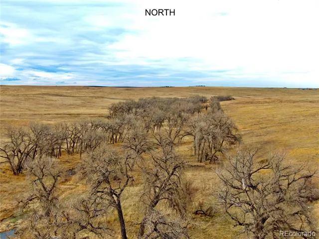 0 Happiness Trail Lot 31 Kiowa, CO 80117