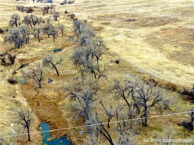0 Happiness Trail Lot 31 Kiowa, CO 80117