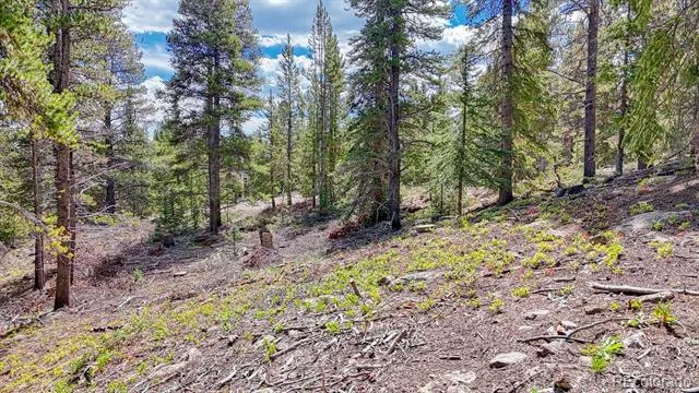 126 Gold Trail Cutoff Fairplay, CO 80440