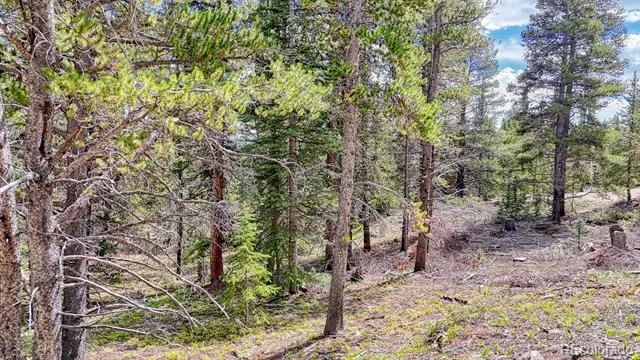 126 Gold Trail Cutoff Fairplay, CO 80440