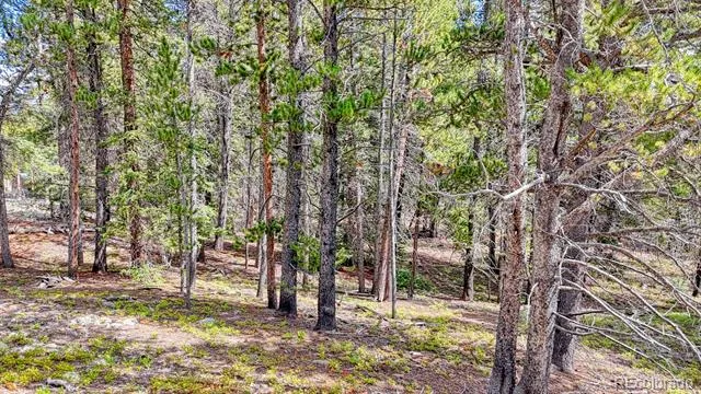 126 Gold Trail Cutoff Fairplay, CO 80440