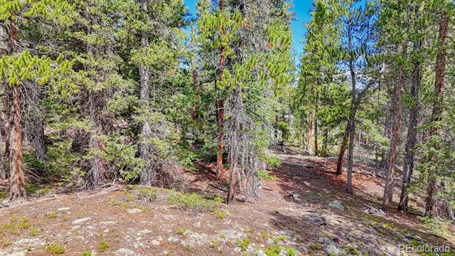 126 Gold Trail Cutoff Fairplay, CO 80440
