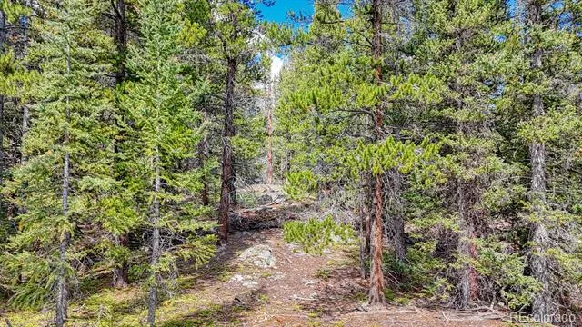 126 Gold Trail Cutoff Fairplay, CO 80440
