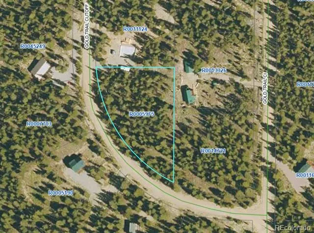 126 Gold Trail Cutoff Fairplay, CO 80440
