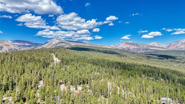 126 Gold Trail Cutoff Fairplay, CO 80440