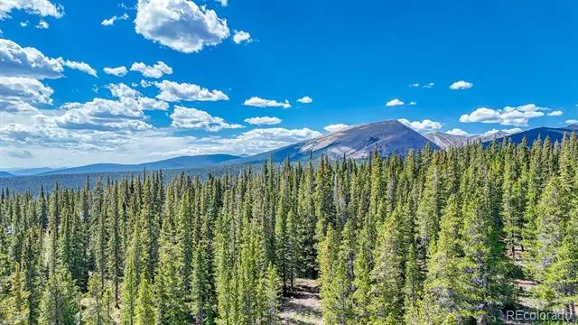 126 Gold Trail Cutoff Fairplay, CO 80440