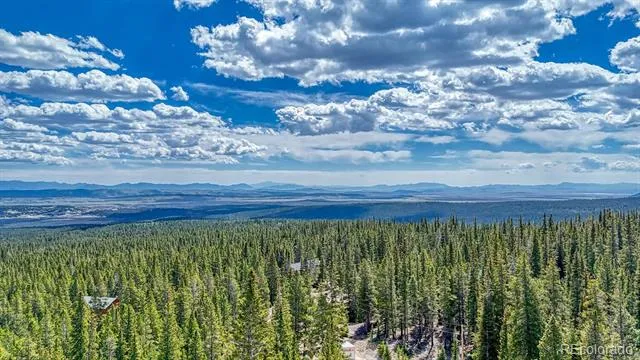 126 Gold Trail Cutoff Fairplay, CO 80440