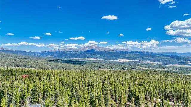 126 Gold Trail Cutoff Fairplay, CO 80440