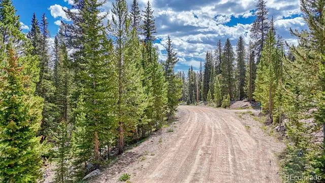 126 Gold Trail Cutoff Fairplay, CO 80440