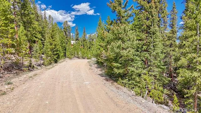 126 Gold Trail Cutoff Fairplay, CO 80440