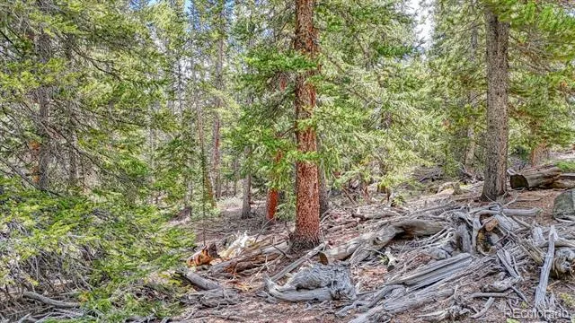 126 Gold Trail Cutoff Fairplay, CO 80440