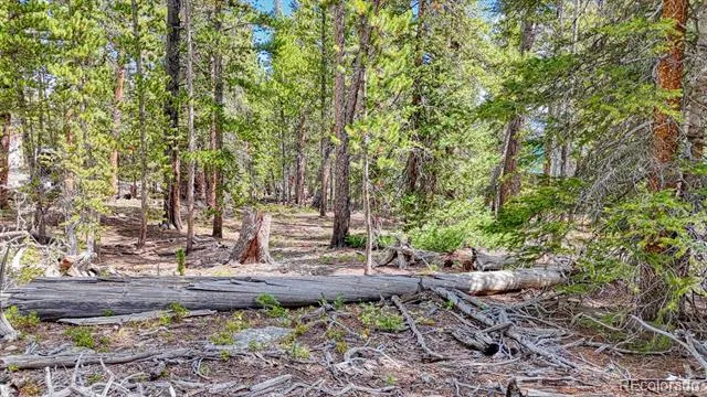 126 Gold Trail Cutoff Fairplay, CO 80440