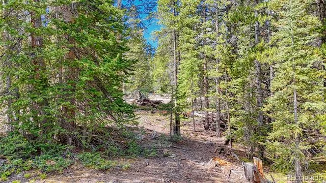 126 Gold Trail Cutoff Fairplay, CO 80440
