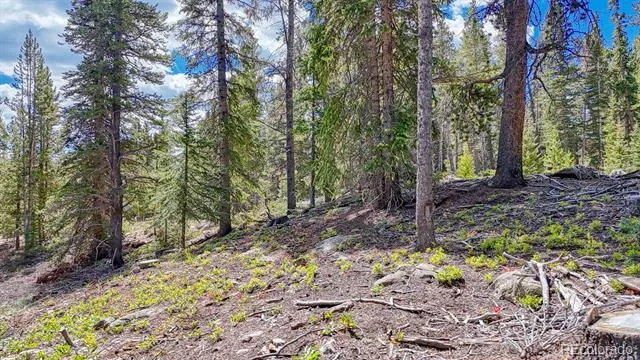 126 Gold Trail Cutoff Fairplay, CO 80440