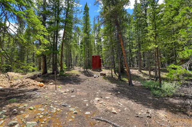 2221 Kootchie Kootchie Road Fairplay, CO 80440