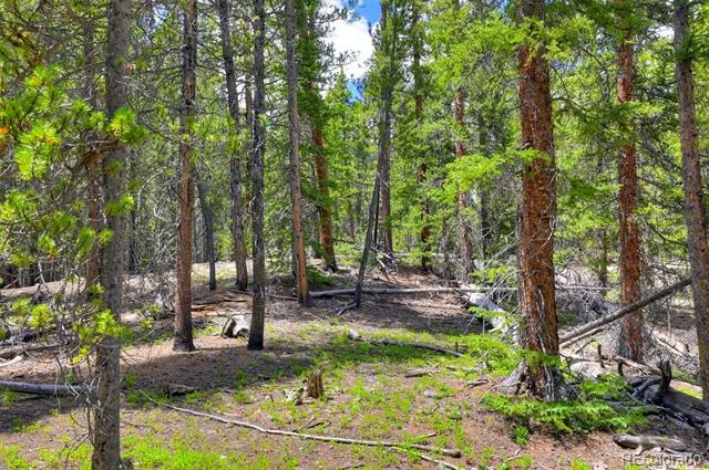 2221 Kootchie Kootchie Road Fairplay, CO 80440