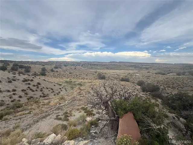470 Bowie Road Penrose, CO 81420