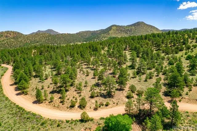 525 Brush Hollow Road Westcliffe, CO 81252