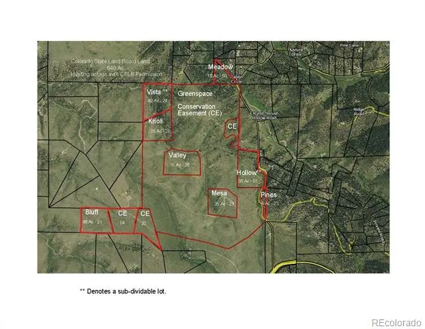 525 Brush Hollow Road Westcliffe, CO 81252