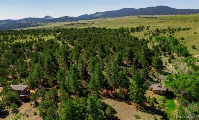 525 Brush Hollow Road Westcliffe, CO 81252