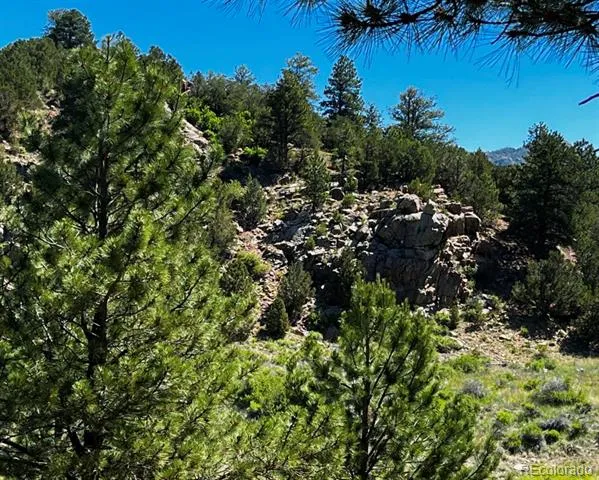 525 Brush Hollow Road Westcliffe, CO 81252