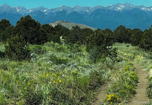 525 Brush Hollow Road Westcliffe, CO 81252