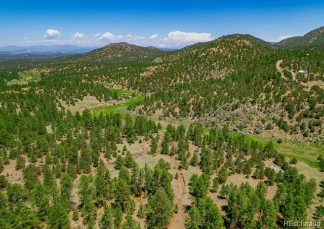 525 Brush Hollow Road Westcliffe, CO 81252