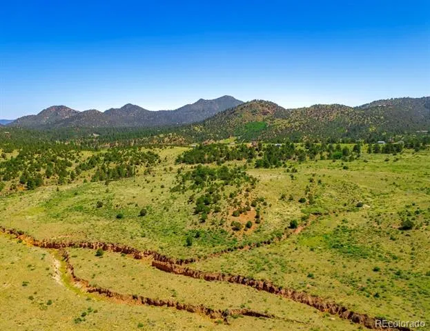 525 Brush Hollow Road Westcliffe, CO 81252