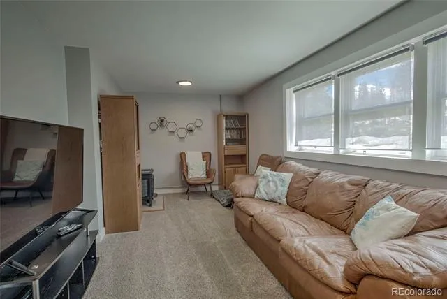 472 Ryan Gulch Road Silverthorne, CO 80498