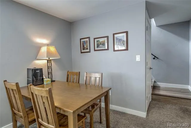 472 Ryan Gulch Road Silverthorne, CO 80498