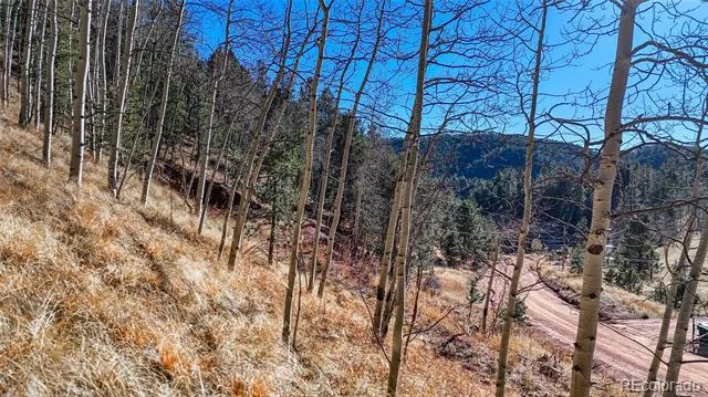 80 Beaver Pond Road Divide, CO 80814