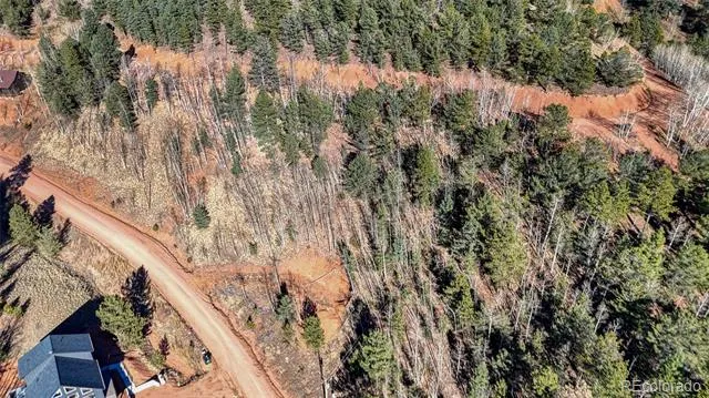 80 Beaver Pond Road Divide, CO 80814