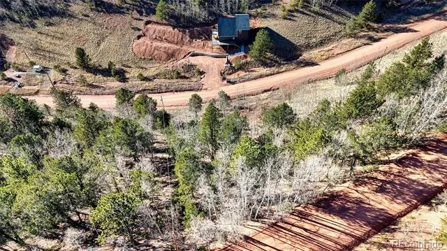80 Beaver Pond Road Divide, CO 80814