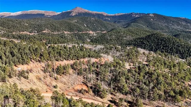 80 Beaver Pond Road Divide, CO 80814