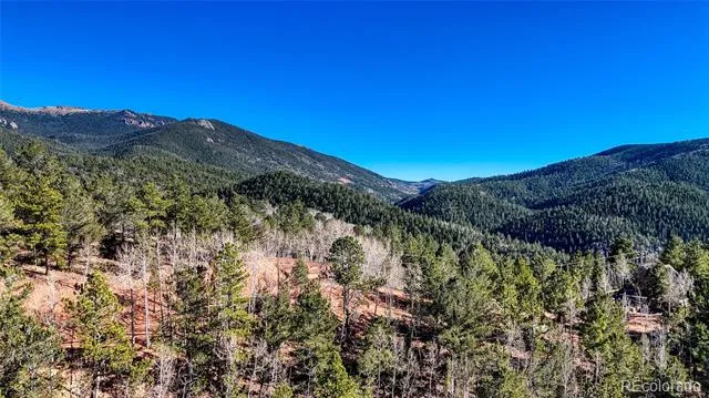80 Beaver Pond Road Divide, CO 80814