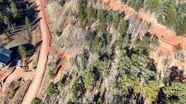 80 Beaver Pond Road Divide, CO 80814