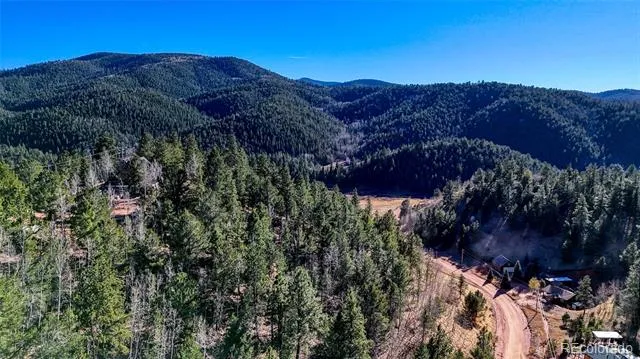 80 Beaver Pond Road Divide, CO 80814