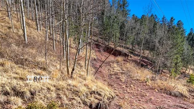 80 Beaver Pond Road Divide, CO 80814