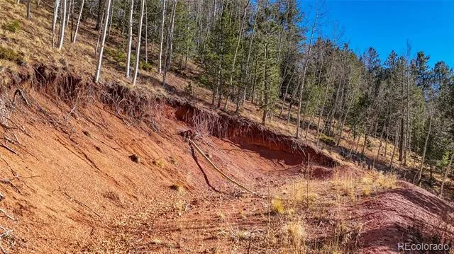 80 Beaver Pond Road Divide, CO 80814