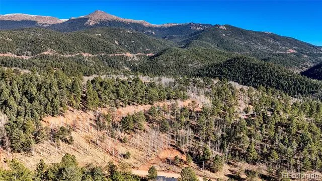 80 Beaver Pond Road Divide, CO 80814