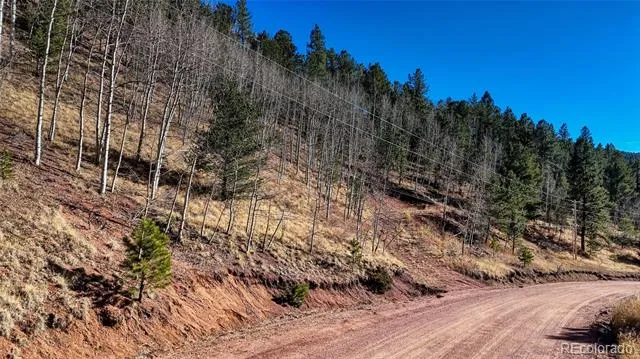 80 Beaver Pond Road Divide, CO 80814